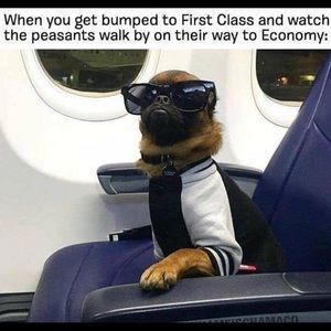 Meet your Posher, Renee